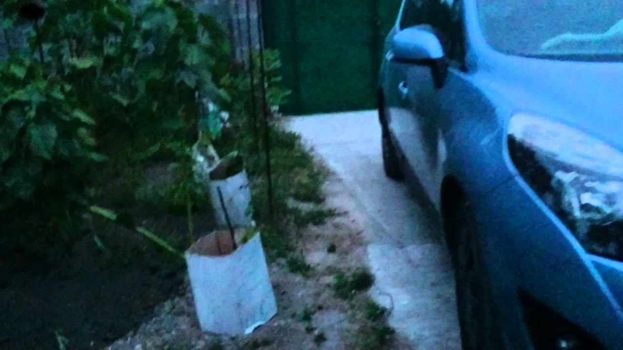 Во садули в огороде - YouTube