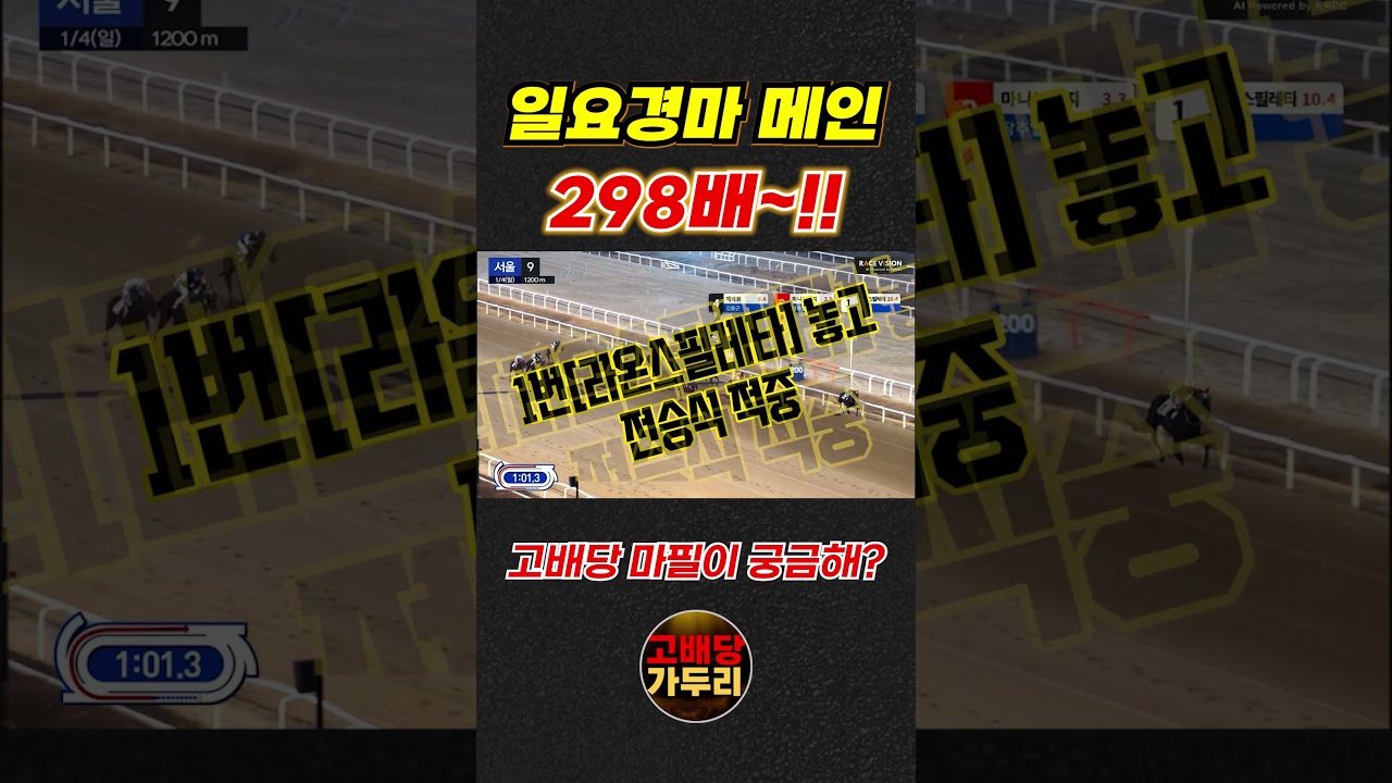 고배당 마필이 궁금해???🎯경마🐎 경마예상🟢 경마 고배당🟢 서울경마🟡부산경마🔵제주 경마