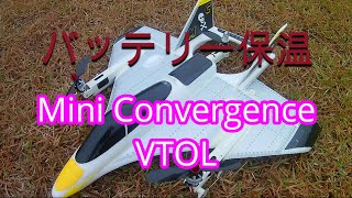 20191222 E-flite Mini Convergence VTOL  いつもの飛行場、いつもの機体を飛ばします【ラジコン】【RC】