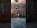 #calisthenics #elbowlever #handstandpress #shortsviral #video