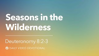 Seasons in the Wilderness | Jeremiah 2:6 | Our Daily Bread Video Devotional