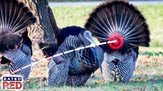 Turkey Hunting With A Bow? Here Are 4 Shot Scenarios & Where To Aim