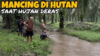Download Lagu Fishing in the Forest During Heavy Rain! Here's What Happened! MP3 Download Lagu Fishing in the Forest During Heavy Rain! Here's What Happened! MP3