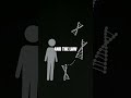 Gregor Mendel and the Blueprint of Heredity