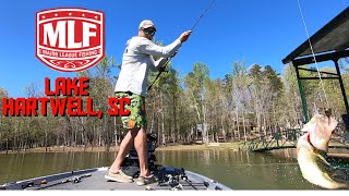 Major League Fishing BFL SC Division stop #3 Lake Hartwell, SC