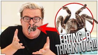 EATING A TARANTULA & SILK WORMS! (Worlds WEIRDEST Foods)