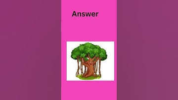 Guess the tree ⁉️ #Riddlesgarden #Fun with logic