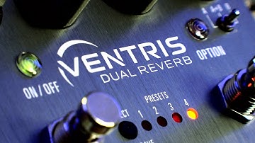 Tremolo and Reverb Pedal: The Ventris Dual Reverb