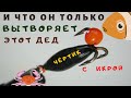 ЧЕРТИК с ИКРОЙ   по ТЕРМОСОПЛЕГРАВИТАЦИОННОЙ технологии