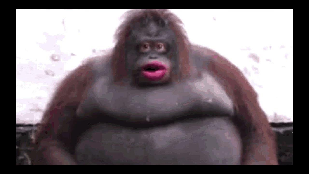 the-definition-of-chunky-monkey-youtube