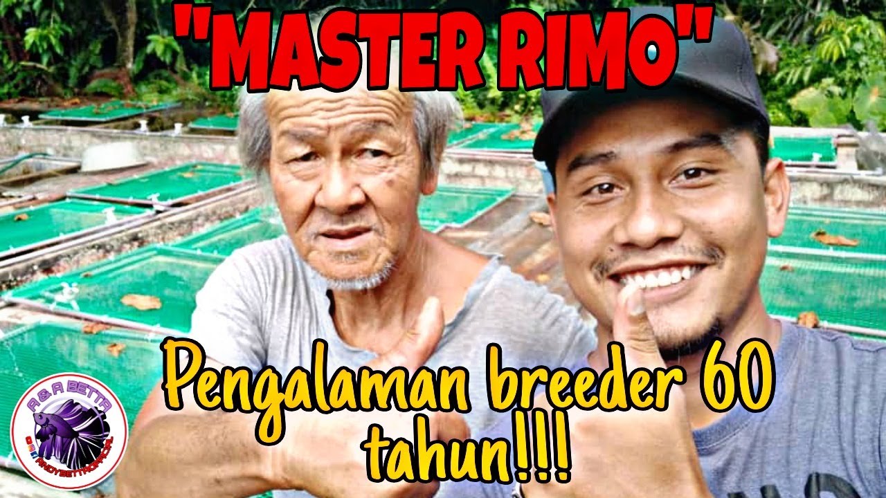 Terjah Master Rimo/Ramai sifu Betta malaysia menuntut dgn Master Rimo/Pengalaman 60 Tahun!!
