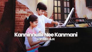 Kanninnullil Nee Kanmani ~ lofi mix ~ ( AJX )
