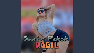 Download Lagu Santri Pekok MP3 Download Lagu Santri Pekok MP3