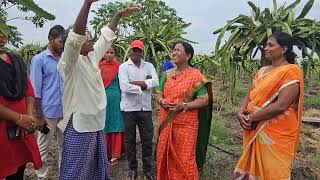 ప్రకృతి వ్యవసాయ విధానంలో డ్రాగన్ ఫ్రూట్ సాగుతో పాటు పలు పంటలు లంకెల కూరపాడు రైతు రామలింగారెడ్డి గారు