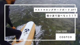 Costco】コストコロングサーフボードで極小波に乗ってみた！ - YouTube