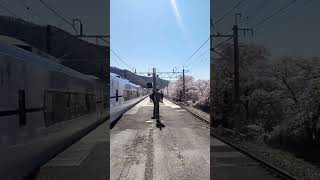 JR東日本本社駅新宿駅を目指して、さくら