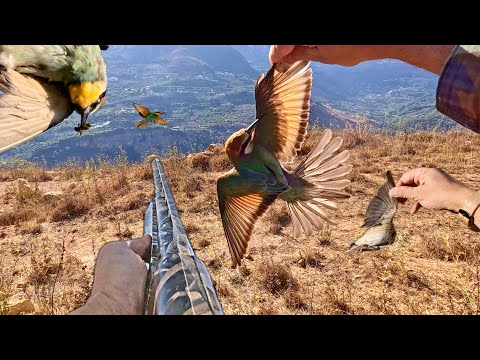 الفرانكي تضرب من جديد ختامها مسك آخر مشوار لصيد المويت السكرج والورور في يوم مليء بالإثارة