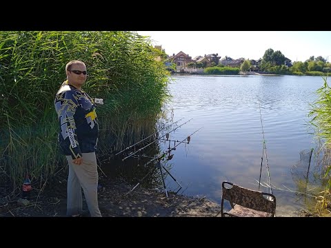 Видео: Макушатник сделал рыбалку.