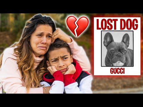 Our DOG IS MISSING!! HELP US FIND HIM.. | The Royalty Family