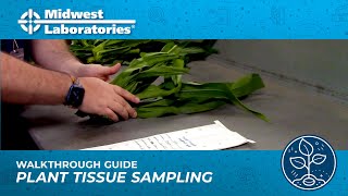 Plant Tissue Sampling Walkthrough Guide