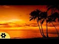 Sleep Music, Calm Music for Sleeping, Delta Waves, Insomnia, Relaxing Music, 8 Hour Sleep, ✿3271C