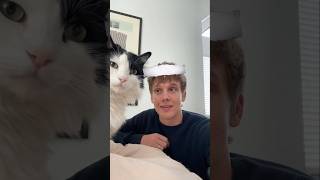 Hunter Doohan and his cat Bitty 🖤🤍 ☺️🎥| #hunterdoohan for #netflix #tiktok two cuties :)