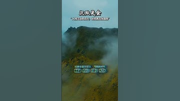 Thumbnail of 《沉默是金》▷▷人间又到四月天，世上再无张国荣，纪念哥哥逝世二十周年 #shorts