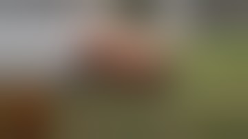 Los Mejores Fails 2017 #82 | The Best Fails | Funny Videos Fails Compilation