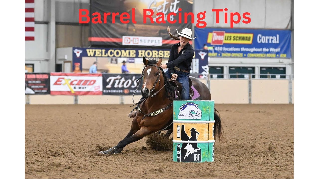 Tips About Barrel Racing Barrel racing tips! #barrelhorse #barrelhorseintraining #barrelracing # ...