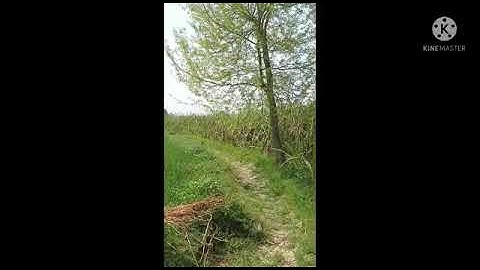 my first vlog!!#my_first_vlog_on_youtube #my_first_video #my_first vlog