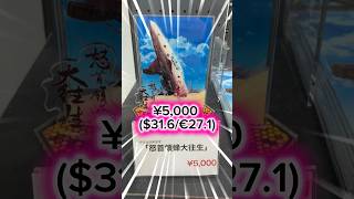 New CAVE Merch in Tokyo 🇯🇵 DoDonPachi DaiOuJou Acrylic Diorama