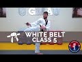 Taekwondo Follow Along Class - White Belt - Class #5