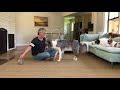 Middle of video
