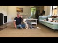 End of video