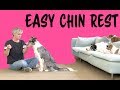 EASY Chin Rest - Dog Training by Kikopup の動画、YouTube動画。