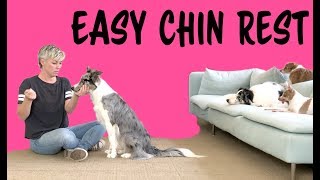 EASY Chin Rest  Dog Training by Kikopup