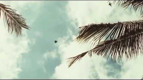 Tsunami disaster in reverse 2