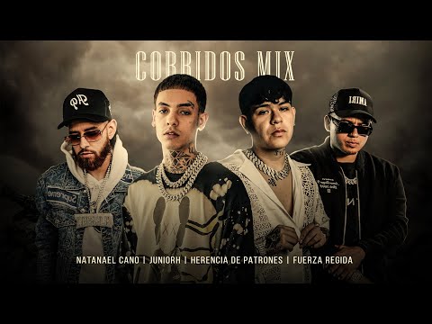 Corridos Mix 2024 | Top 20 Video | Natanael Cano, JuniorH, Fuerza Regida, Herencia De Patrones y mas