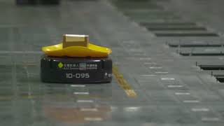 Warehouse Robot Army in China