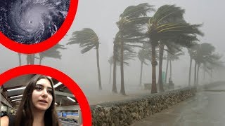 ESCAPING THE HAWAII HURRICANE | Nicolette Gray