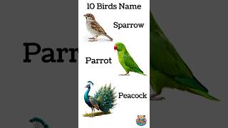 10 Birds Name for Kids 🐦 | Learn English #shorts #kidslearning