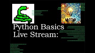 Celebrity Python Basics Live Stream Let's make a plan Net Worth