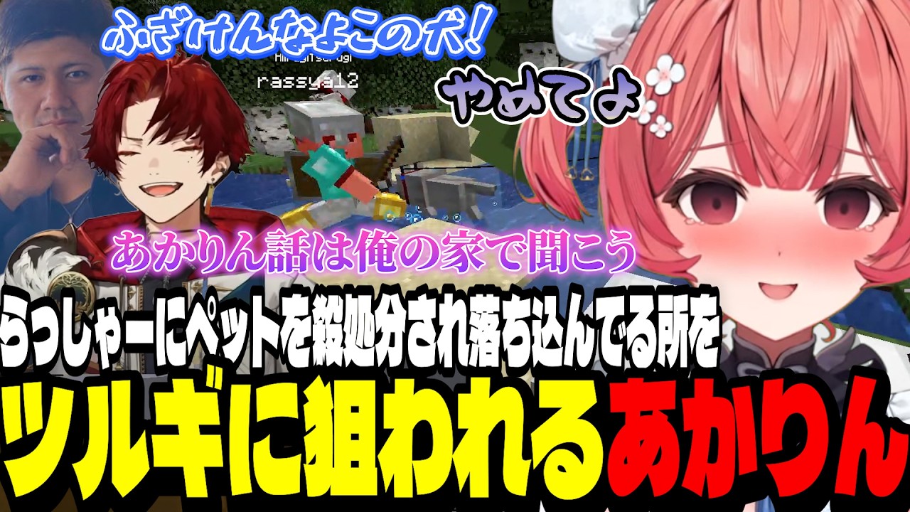 【豚笑楽】らっしゃーにペットを殺処分され落ち込んでるところをツルギに狙われるあかりん【夢野あかり/ぶいすぽ切り抜き】