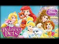 Disney Princess Palace Pets All Pets Compilation Petit Sultan Seashell Bibbidy