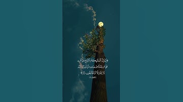 حالات وأتس أب قرآن / من سورة النحل بصوت القارئ ناصر القطامي #ناصر_القطامي