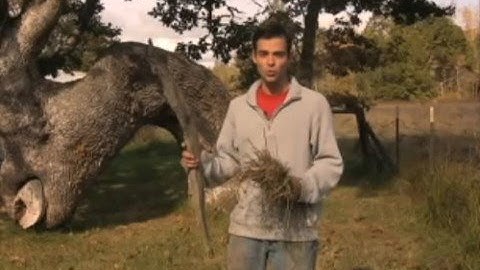 Gasification 101: Learn the basics of wood gasification