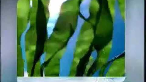 Sunsilk NutriCare Shampoo TVC (SunsilkThailand)