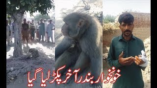 PNN TV 02-06-2019