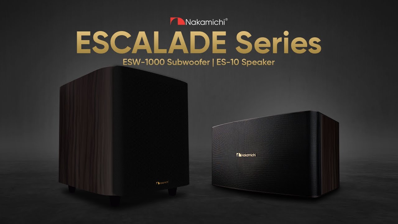 SP-W1000D 25cm　MAX1200W ナカミチ Nakamichi SP-W1000D 25cm MAX1200W ナカミチ Nakamichi Subwoofer
