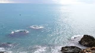 prince song soft and wet | soft japanese songs | soft cell songs | soft jazz jazz instrumental music screenshot 2